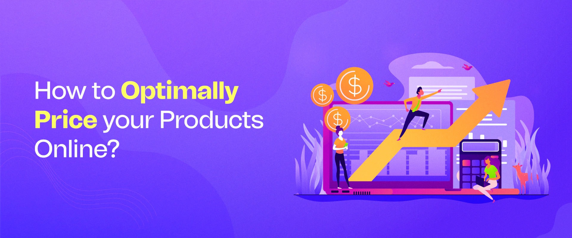 How to Optimally Price your Products Online?